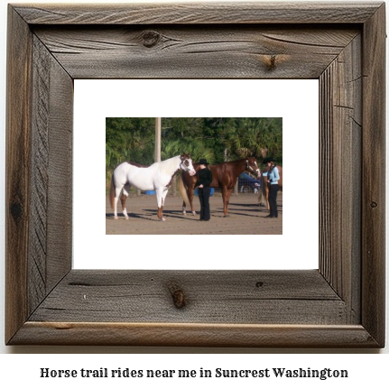 horse trail rides near me in Suncrest, Washington